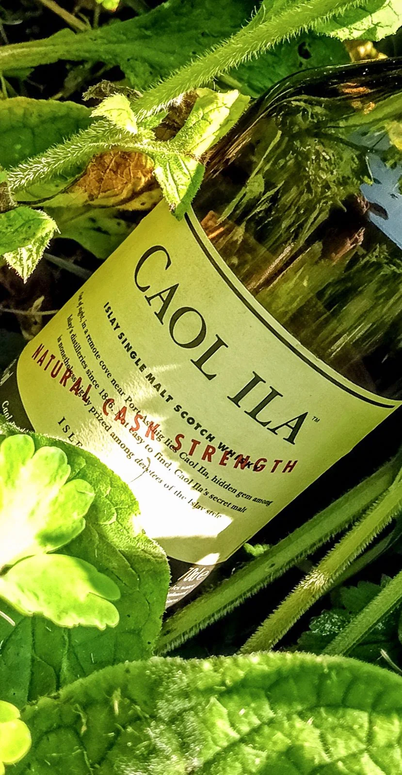 Caol Ila Cask Strength — Dramface